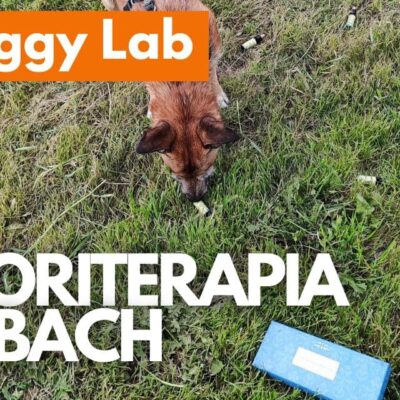 Doggy Lab Floriterapia di Bach