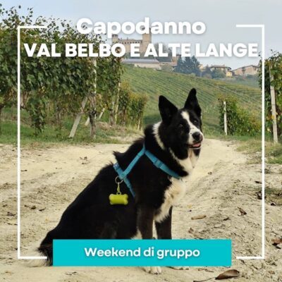 Capodanno-Val Belbo e Alte Langhe-2025-12-30